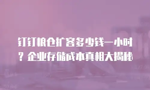 钉钉粮仓扩容多少钱一小时？企业存储成本真相大揭秘