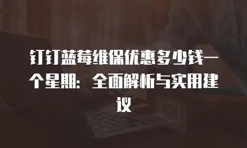 钉钉蓝莓维保优惠多少钱一个星期：全面解析与实用建议
