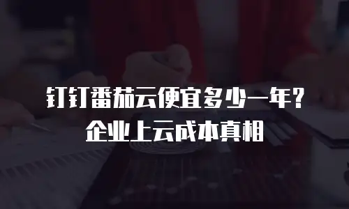 钉钉番茄云便宜多少一年？企业上云成本真相