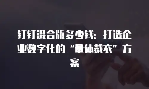 钉钉混合版多少钱：打造企业数字化的“量体裁衣”方案