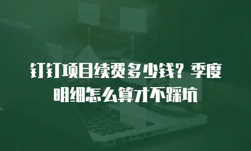 钉钉项目续费多少钱？季度明细怎么算才不踩坑