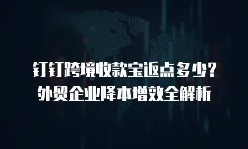 钉钉跨境收款宝返点多少？外贸企业降本增效全解析