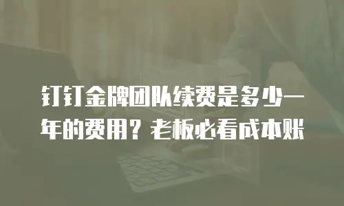 钉钉金牌团队续费是多少一年的费用？老板必看成本账