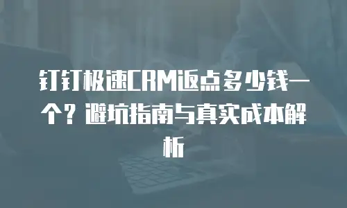 钉钉极速CRM返点多少钱一个？避坑指南与真实成本解析