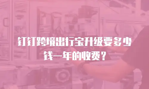钉钉跨境出行宝升级要多少钱一年的收费？