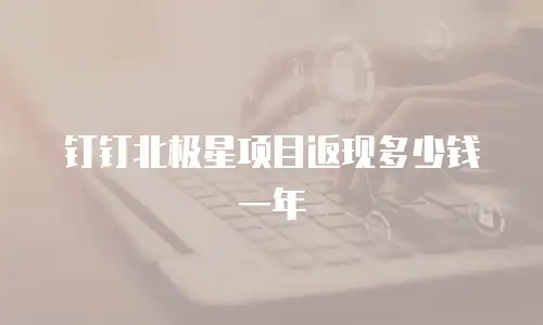 钉钉北极星项目返现多少钱一年