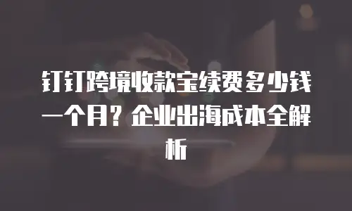 钉钉跨境收款宝续费多少钱一个月？企业出海成本全解析