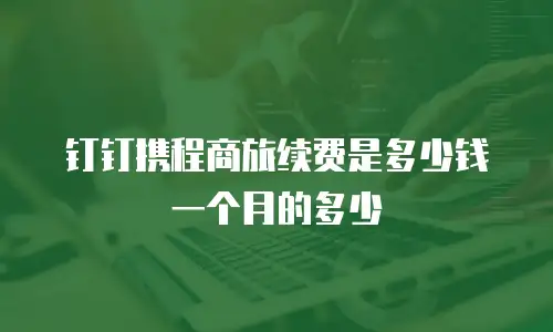 钉钉携程商旅续费是多少钱一个月的多少
