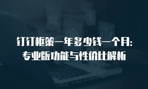 钉钉枢策一年多少钱一个月：专业版功能与性价比解析