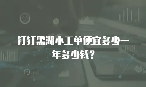 钉钉黑湖小工单便宜多少一年多少钱？