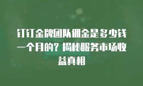 钉钉金牌团队佣金是多少钱一个月的？揭秘服务市场收益真相