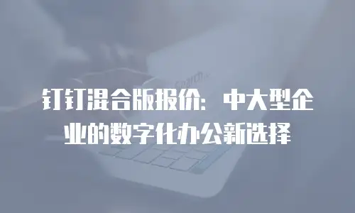 钉钉混合版报价：中大型企业的数字化办公新选择
