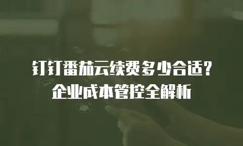 钉钉番茄云续费多少合适？企业成本管控全解析