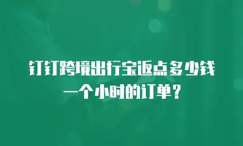 钉钉跨境出行宝返点多少钱一个小时的订单？