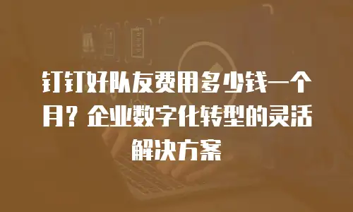 钉钉好队友费用多少钱一个月？企业数字化转型的灵活解决方案