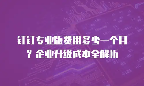 钉钉专业版费用多少一个月？企业升级成本全解析