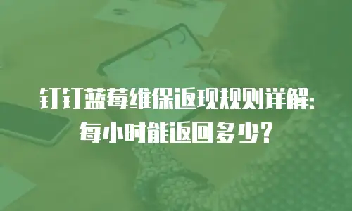 钉钉蓝莓维保返现规则详解：每小时能返回多少？
