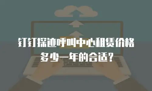 钉钉探迹呼叫中心租赁价格多少一年的合适？