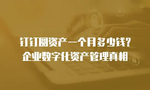 钉钉圆资产一个月多少钱？企业数字化资产管理真相