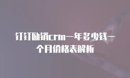 钉钉励销crm一年多少钱一个月价格表解析