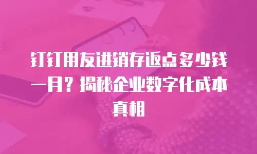 钉钉用友进销存返点多少钱一月？揭秘企业数字化成本真相