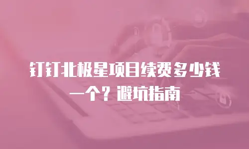 钉钉北极星项目续费多少钱一个？避坑指南