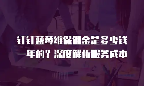 钉钉蓝莓维保佣金是多少钱一年的？深度解析服务成本