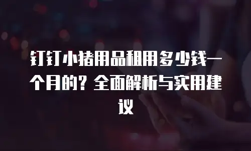 钉钉小猪用品租用多少钱一个月的？全面解析与实用建议