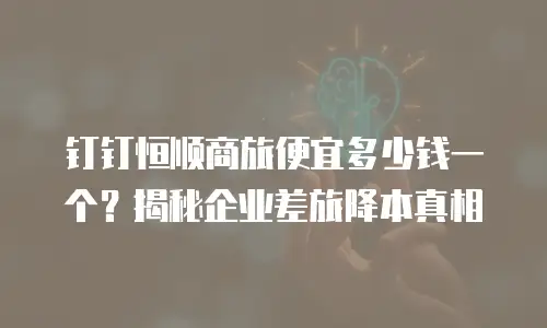 钉钉恒顺商旅便宜多少钱一个？揭秘企业差旅降本真相