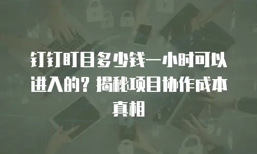 钉钉盯目多少钱一小时可以进入的？揭秘项目协作成本真相