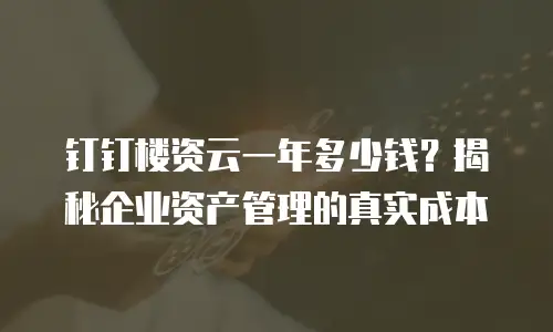 钉钉楼资云一年多少钱？揭秘企业资产管理的真实成本
