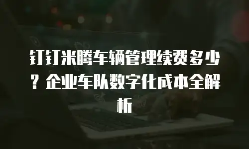 钉钉米腾车辆管理续费多少？企业车队数字化成本全解析