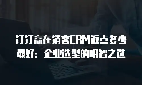 钉钉赢在销客CRM返点多少最好：企业选型的明智之选