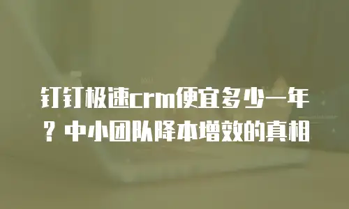 钉钉极速crm便宜多少一年？中小团队降本增效的真相
