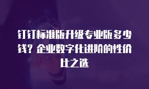 钉钉标准版升级专业版多少钱？企业数字化进阶的性价比之选