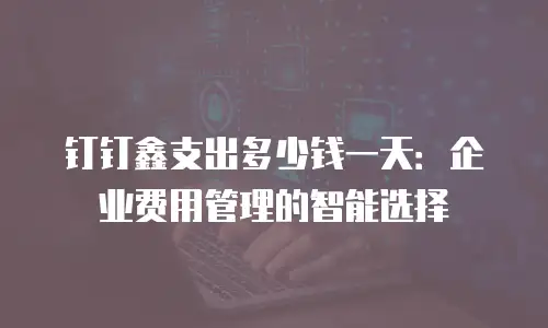 钉钉鑫支出多少钱一天：企业费用管理的智能选择