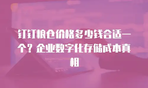 钉钉粮仓价格多少钱合适一个？企业数字化存储成本真相