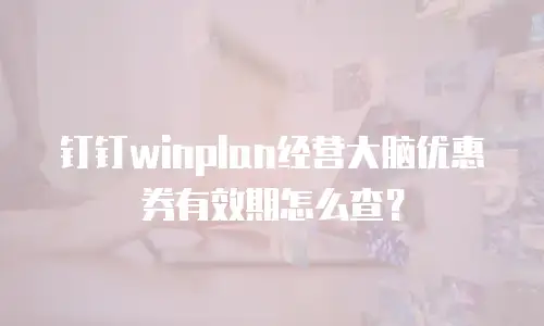 钉钉winplan经营大脑优惠券有效期怎么查？