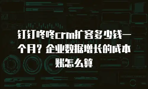 钉钉咚咚crm扩容多少钱一个月？企业数据增长的成本账怎么算