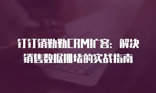 钉钉销勤勤CRM扩容：解决销售数据拥堵的实战指南