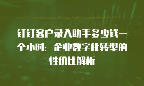 钉钉客户录入助手多少钱一个小时：企业数字化转型的性价比解析