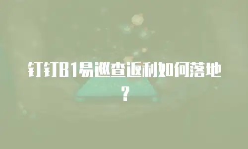 钉钉B1易巡查返利如何落地？