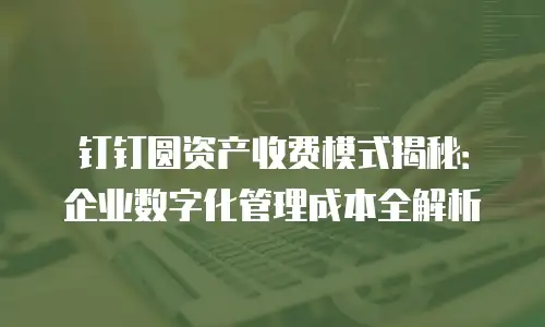 钉钉圆资产收费模式揭秘：企业数字化管理成本全解析
