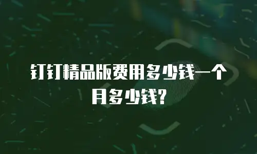 钉钉精品版费用多少钱一个月多少钱？