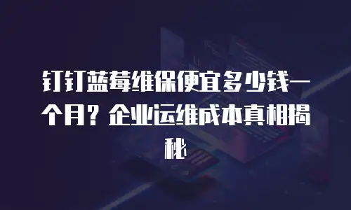 钉钉蓝莓维保便宜多少钱一个月？企业运维成本真相揭秘