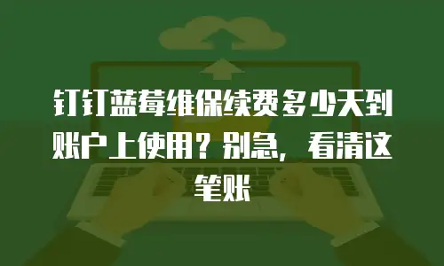 钉钉蓝莓维保续费多少天到账户上使用？别急，看清这笔账