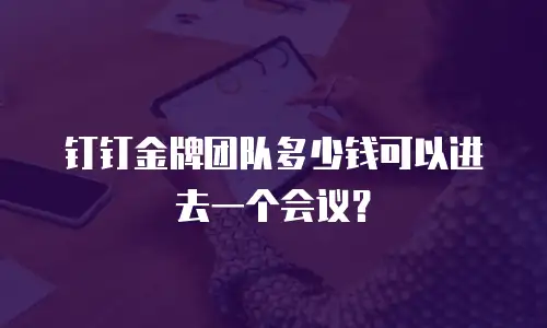 钉钉金牌团队多少钱可以进去一个会议？