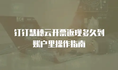 钉钉慧穗云开票返现多久到账户里操作指南