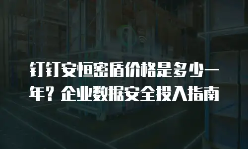 钉钉安恒密盾价格是多少一年？企业数据安全投入指南