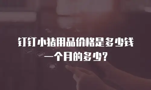 钉钉小猪用品价格是多少钱一个月的多少？
